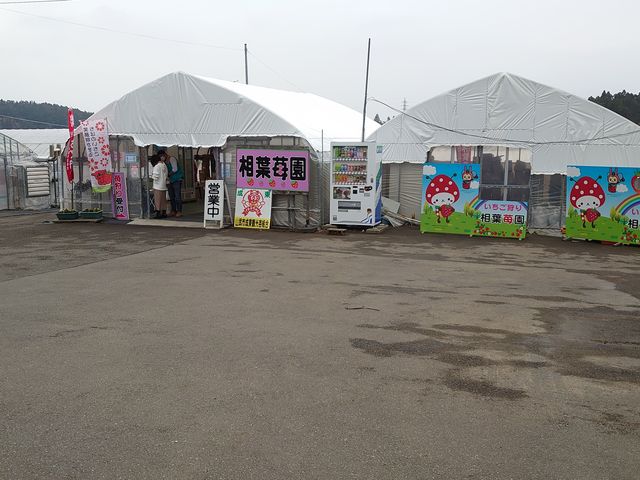 ���ʍ��肪��t�ł��B
��t�̌������̕�����r�j�[���n�E�X�Ɍ������܂��B_���t䕉�