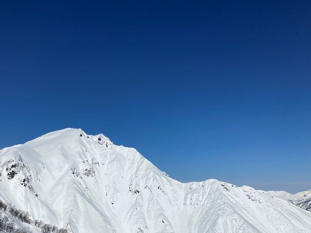 �����̓�Ɋ��ꂽ���オ�I�L�̎��ƃg�}�̎�_�V�_��