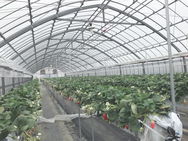 �ݐ؏�Ԃ̃n�E�X�ł��B_�����L�_��