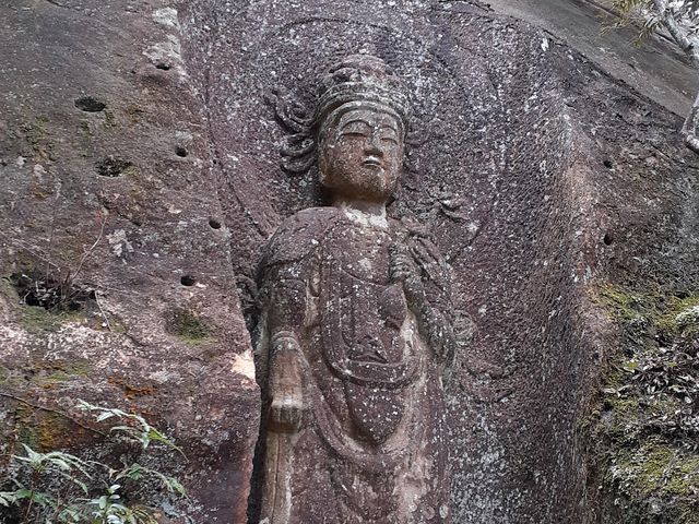 ������33�ԁE�J���R�،����̏\��ʊω����B�{��������J�Ȃ̂ŋM�d�ł��B_�ΎR�ω�