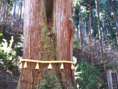 御岩神社の口コミ一覧 じゃらんnet