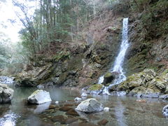 ���܂�����̓��V�{�l���_�Ђւ̓��e�ʐ^1