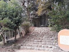 ڂ炳̐ΎRωւ̓eʐ^1