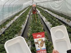 日光 花いちもんめ 予約 アクセス 割引クーポン じゃらんnet