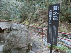 ���܂�����̓��V�{�l���_�Ђւ̓��e�ʐ^1