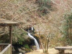 雪乃さんの京都府立るり渓自然公園の投稿写真1