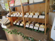 yosshŷƂVtH̓eʐ^2