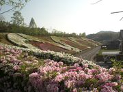 xbJ̓̉w lG̋wFOOD HUNTER PARKx̓eʐ^1