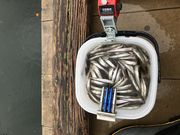 ~bL[̖LcΔȌLv̓eʐ^2