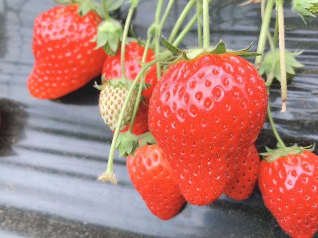 �����ɕi�했�̈Ⴂ�������Ă���̂ŕ�����₷���ł��B_���c�t�@�[�������h