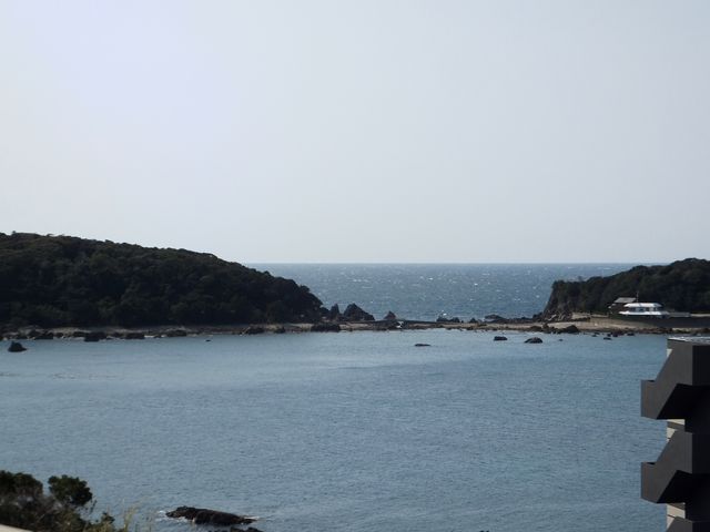 ̉w݂猩]{蓇RFɌA_]{蓇R