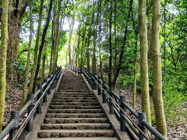 静寂_柿田川公園