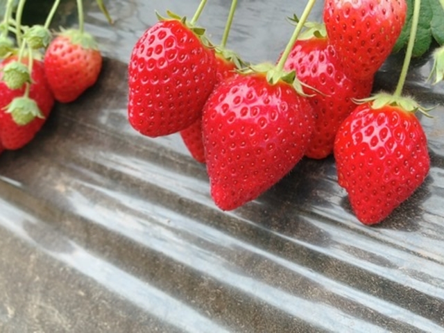 �H���̈Ⴂ�Ȃǂ������̓����������Ă����Ă킩��₷�������ł��B�݂΂������Ă��킢�������ł��B_���c�t�@�[�������h