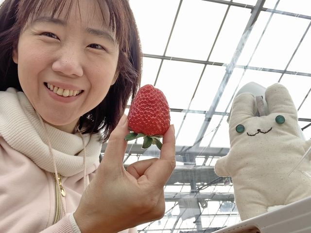 Yokohama Very Berry】予約・アクセス・割引クーポン - じゃらんnet