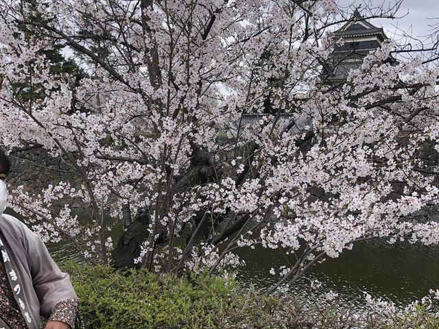 ���{��ł��Ԍ��ł��܂���_���{�l�͎Ԃ̉�