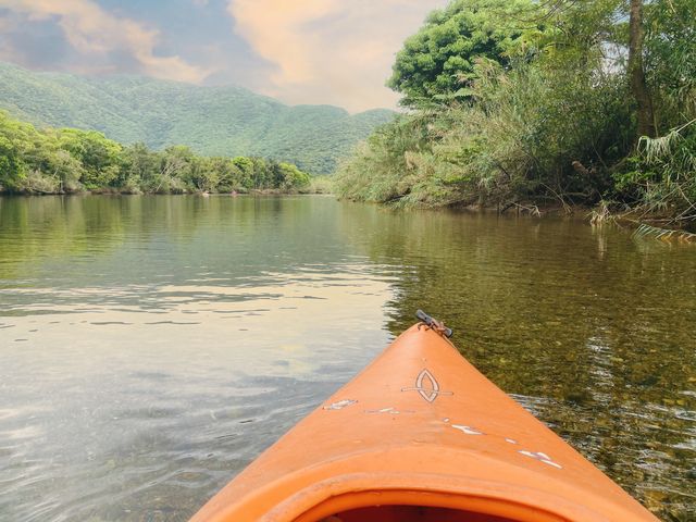 Jk[𑆂Ȃʐ^B܂_}O[u