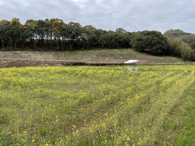 �n�E�X���ӂ̌i�F_�ԍՂ������̒J