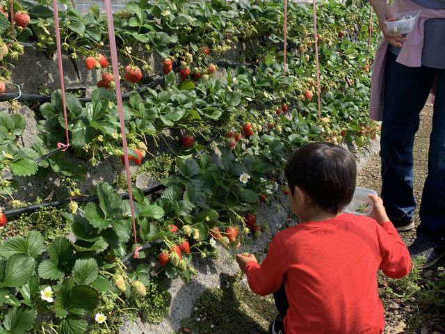 �����ł�����_��܂��C�`�S�_��