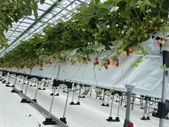 Ȃ̃AOX^[XyVւ̓eʐ^1