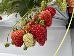 Ȃ̃AOX^[XyVւ̓eʐ^2