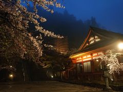 まるさんの談山神社への投稿写真1