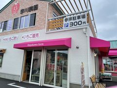 marieru����̑���_���ւ̓��e�ʐ^1