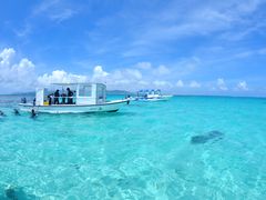 ܂̐Ί__CrOVbv@ABCdiveւ̓eʐ^1