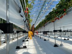 ^||}}̃AOX^[XyVւ̓eʐ^2