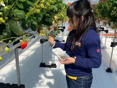 ^||}}̃AOX^[XyVւ̓eʐ^3