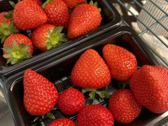 [񂳂joumonfarmi傤ӂ[ށjւ̓eʐ^1