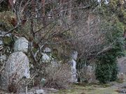 Yanwenli����̎��ᓰ�̓��e�ʐ^5