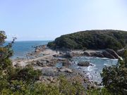 ڂ炳̍]{蓇R̓eʐ^3