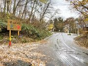 ÐhF̐X̕YفuLv̓eʐ^1