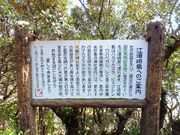 ڂ炳̍]{蓇AQ̓eʐ^1