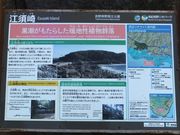 ڂ炳̍]{蓇AQ̓eʐ^2