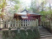 ڂ炳̍]{蓇AQ̓eʐ^3