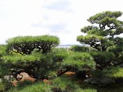 Yanwenli����̋����@�̓��e�ʐ^2