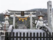 Yanwenli����̈ӕy�z�ǐ_�Ђ̓��e�ʐ^1