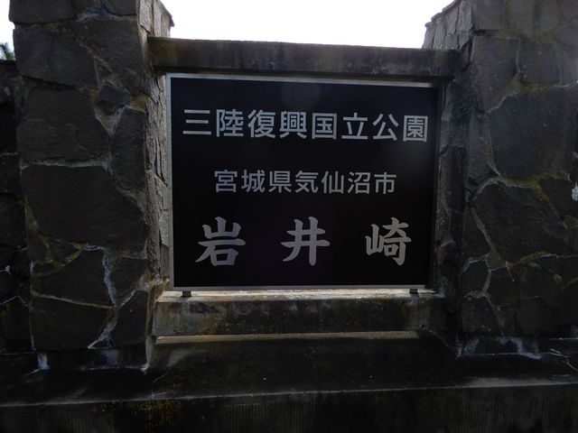 �����̊Ŕ�_����