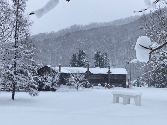 ���_���c���������p�� �A���e�s�A�b�c�@���S