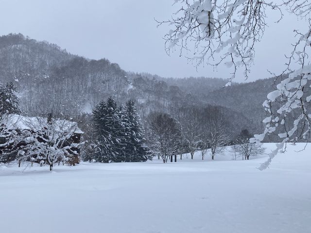 ���_���c���������p�� �A���e�s�A�b�c�@���S