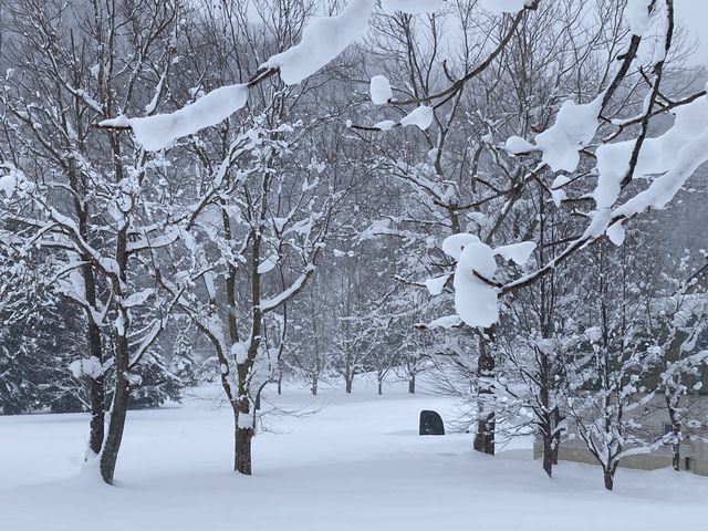 ���_���c���������p�� �A���e�s�A�b�c�@���S