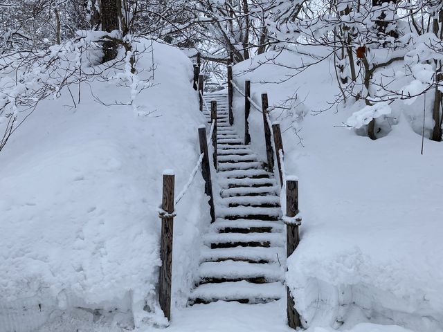 ����_���c���������p�� �A���e�s�A�b�c�@���S