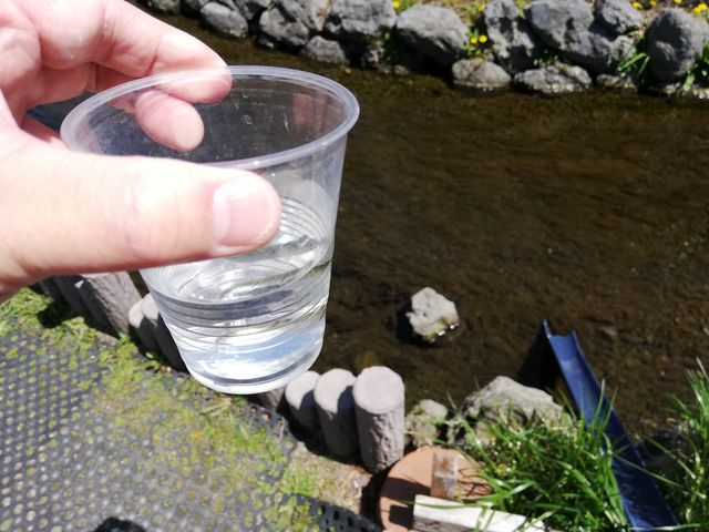 ����ɕ���_�T�P�̂ӂ邳�Ɛ�ΐ�����