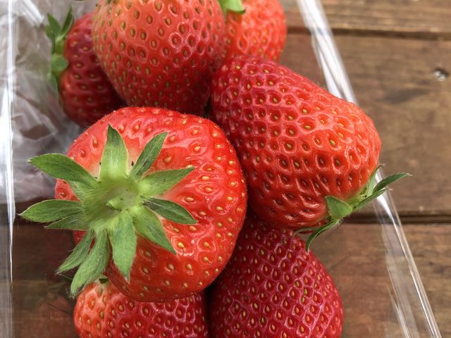 �������ł����I_�֍��_��