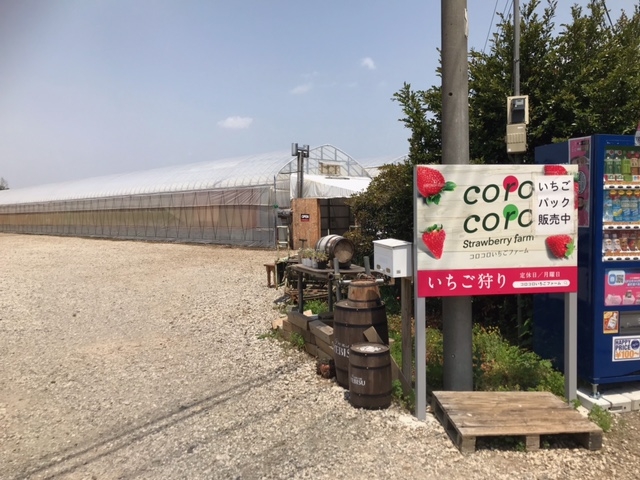 ���킢���Ŕł��ˁB_�R���R���������t�@�[��