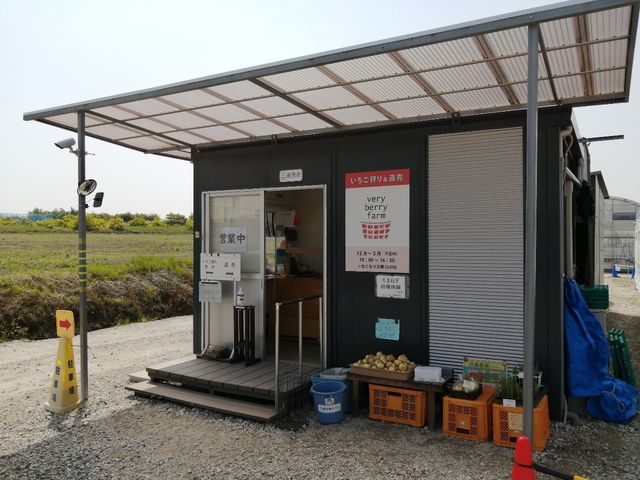 ��t�ƒ������B�R���f���X�~���N�̍w�����\�B_very berry farm