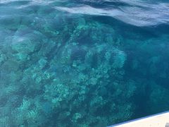 S񂳂̐Ί__CrOVbv@ABCdiveւ̓eʐ^1