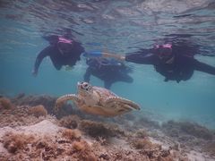 saitoSEA ENJOYւ̓eʐ^1