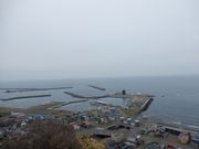 mick񂳂̗ێRW]̓eʐ^3